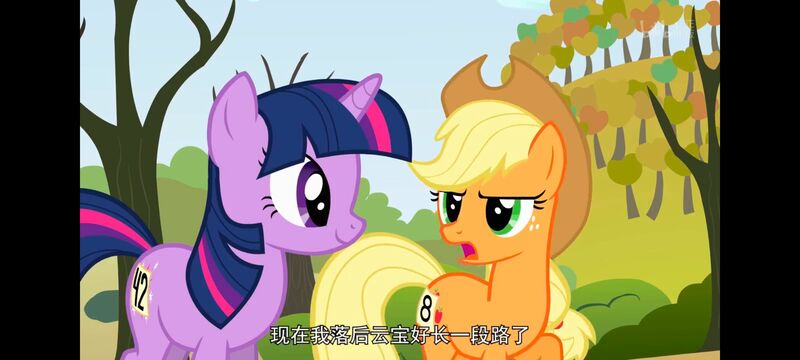 小马宝莉,小马宝莉友谊魔法,彩虹小马,我的小马驹,动画,动漫,番剧,ACG