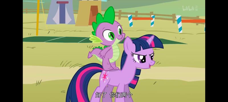 小马宝莉,小马宝莉友谊魔法,彩虹小马,我的小马驹,动画,动漫,番剧,ACG