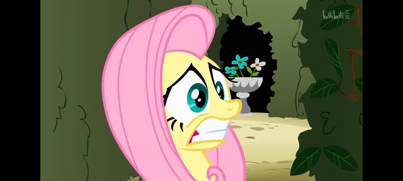 小马宝莉,小马宝莉友谊魔法,彩虹小马,我的小马驹,动画,动漫,番剧,ACG