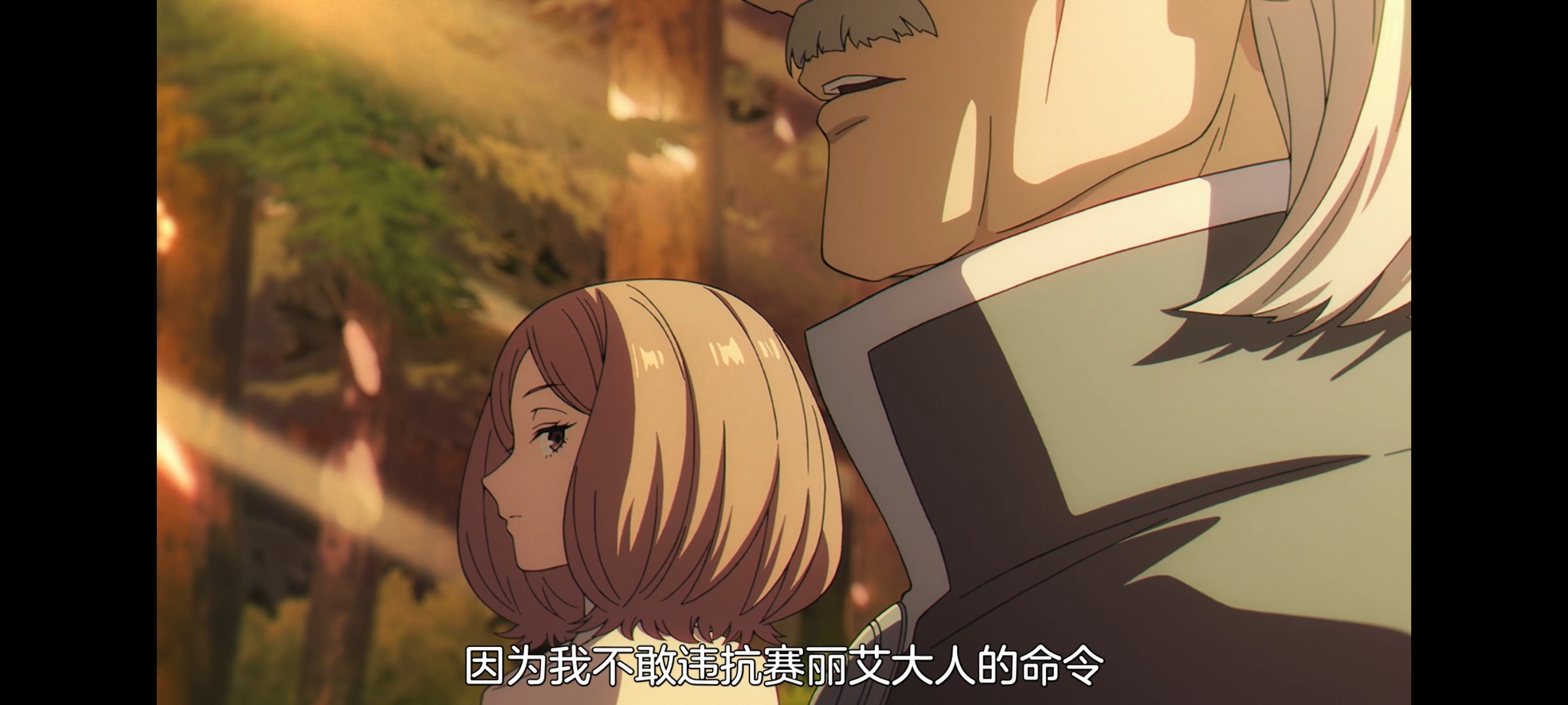 葬送的芙莉莲,动画,动漫,番剧,二次元,ACG