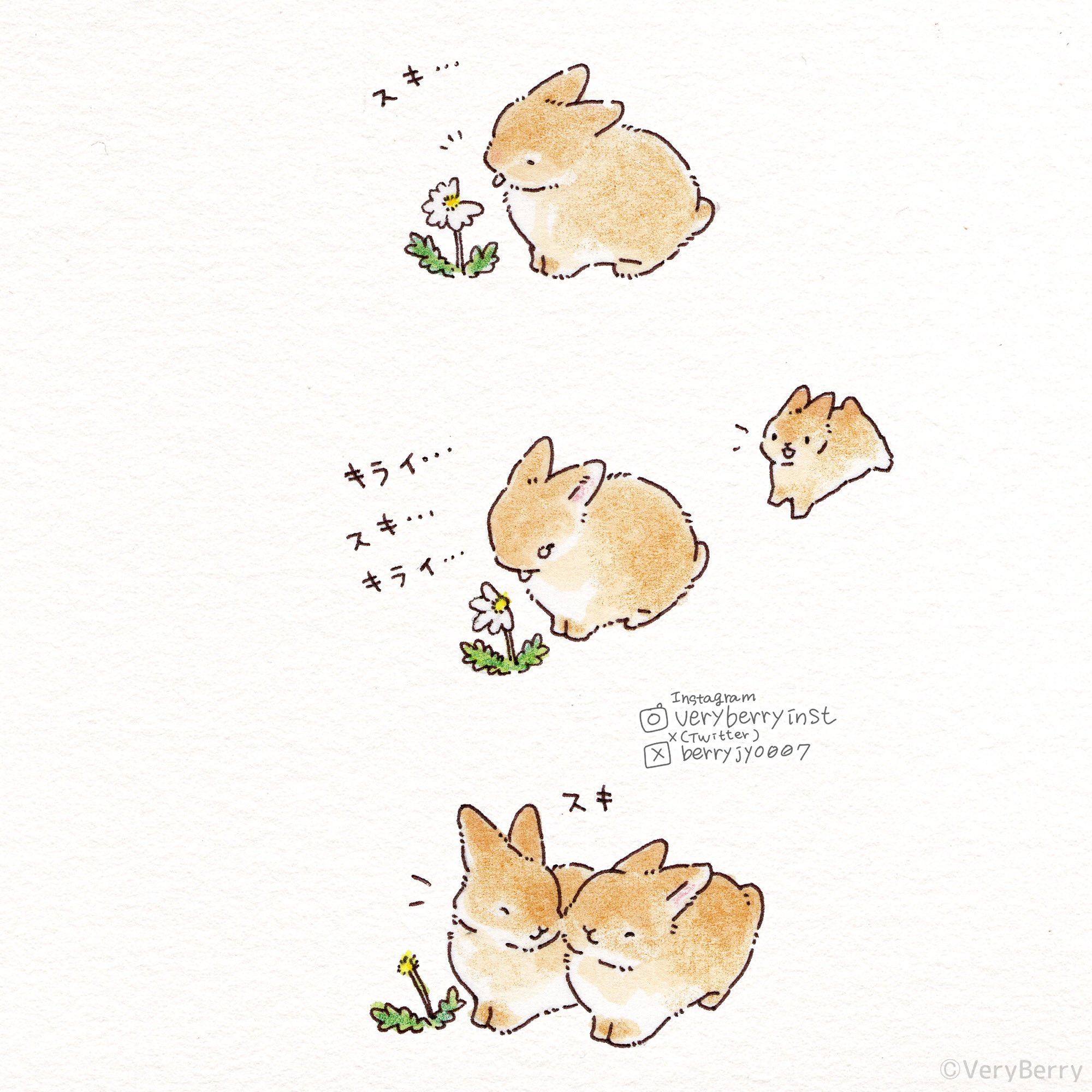 pixiv,萌宠,兔子,漫画