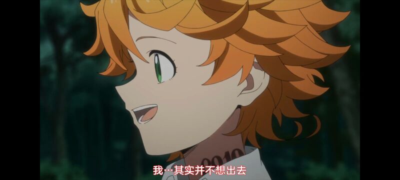 约定的梦幻岛,动画,动漫,番剧,ACG