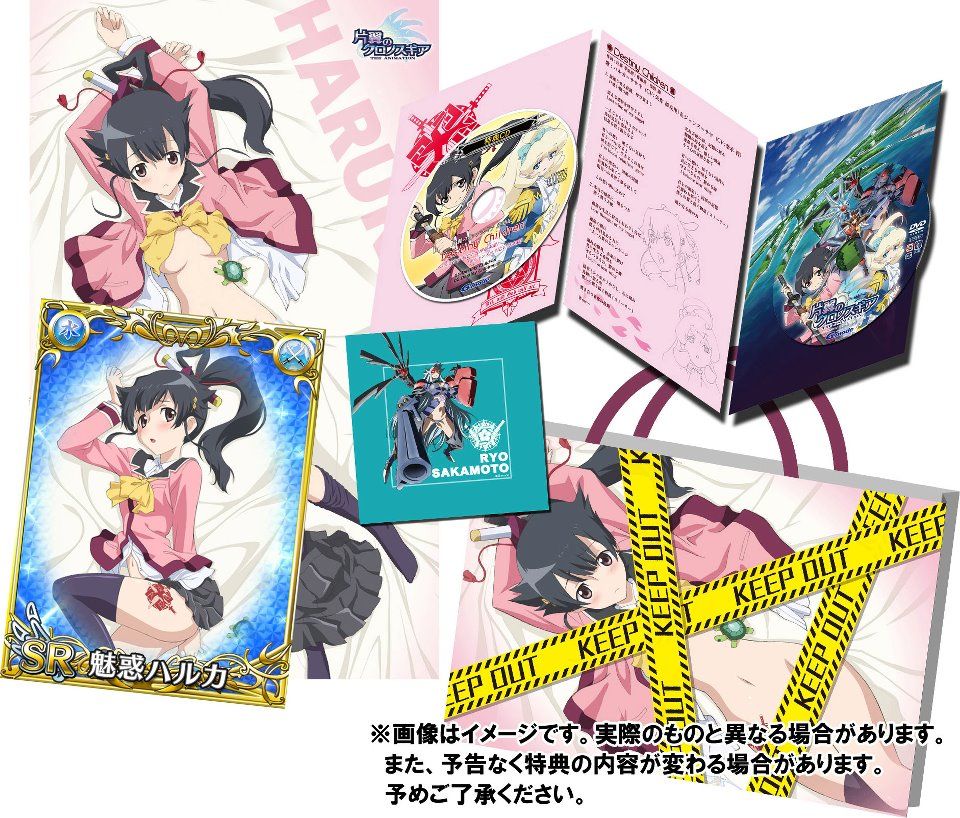 二次元,失传媒体,ACG,动画,OVA,DVD