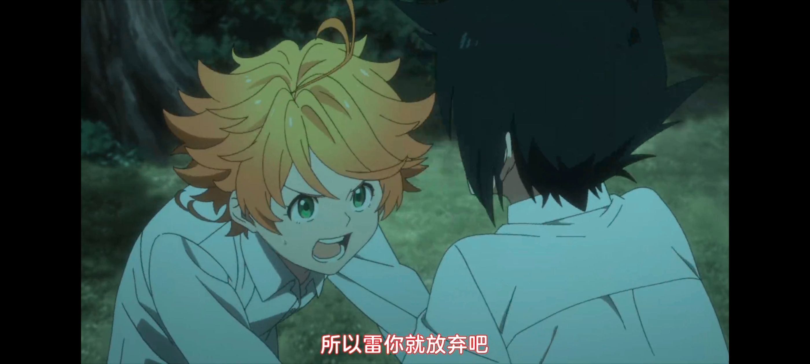 约定的梦幻岛,动画,动漫,番剧,ACG