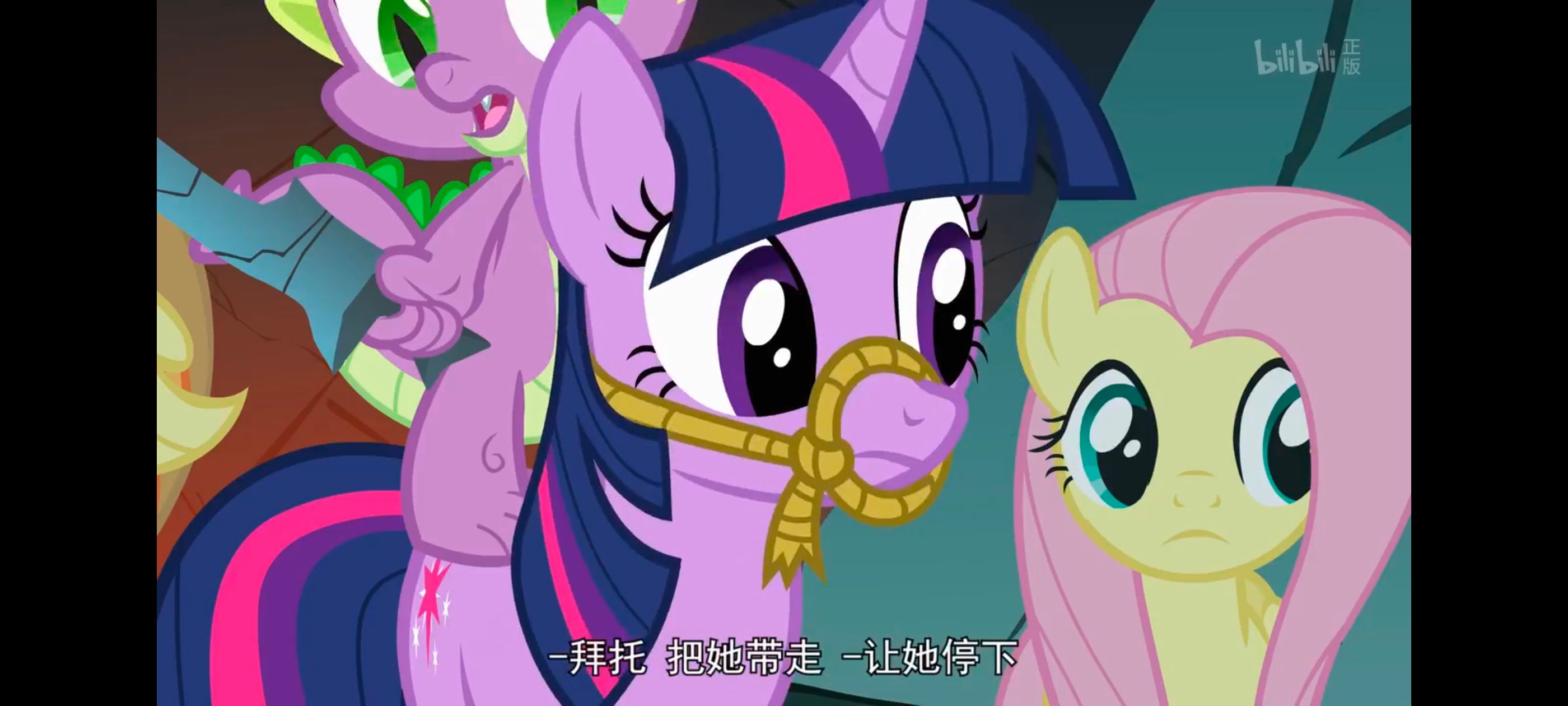 彩虹小马,小马宝莉,我的小马驹,小马宝莉友谊魔法,动画,动漫,番剧,ACG