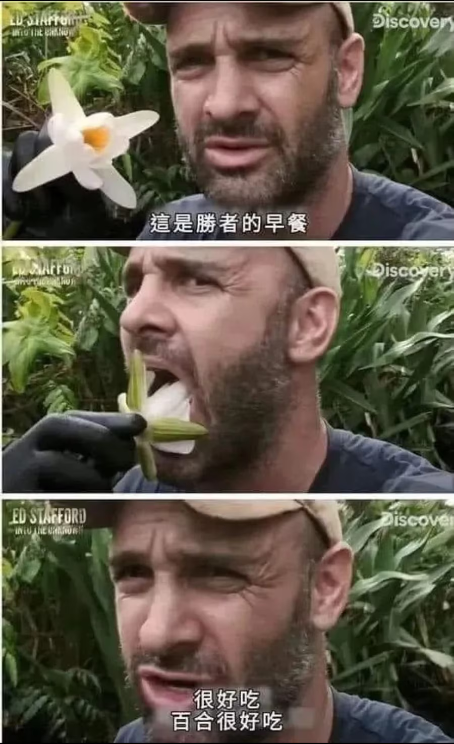 明日同学的水手服,明日酱的水手服,百合,漫画,动漫,百合漫画,二次元,ACG