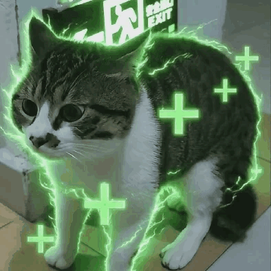 动图,meme,梗图,GIF
