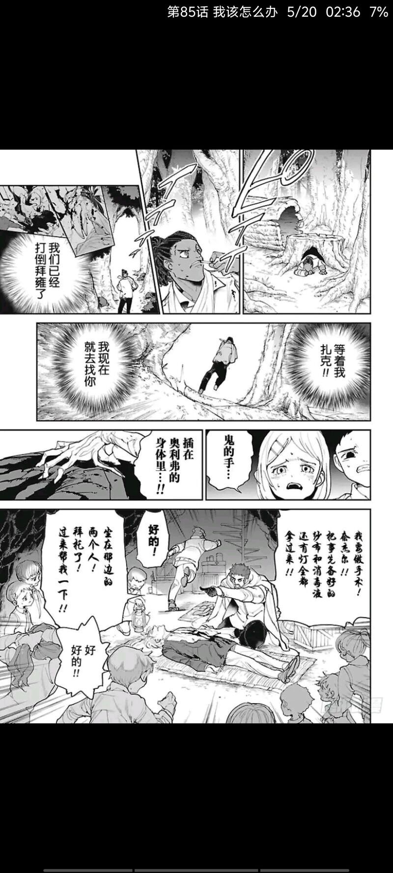约定的梦幻岛,动漫,漫画,日漫,ACG