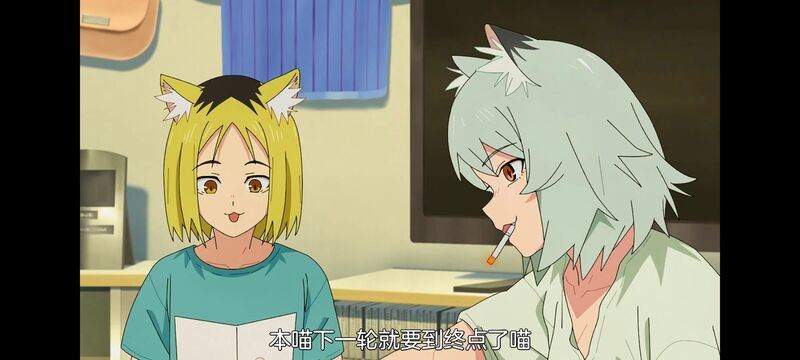尼古喵喵,雅尼猫,动画,动漫,番剧,日漫,二次元,ACG