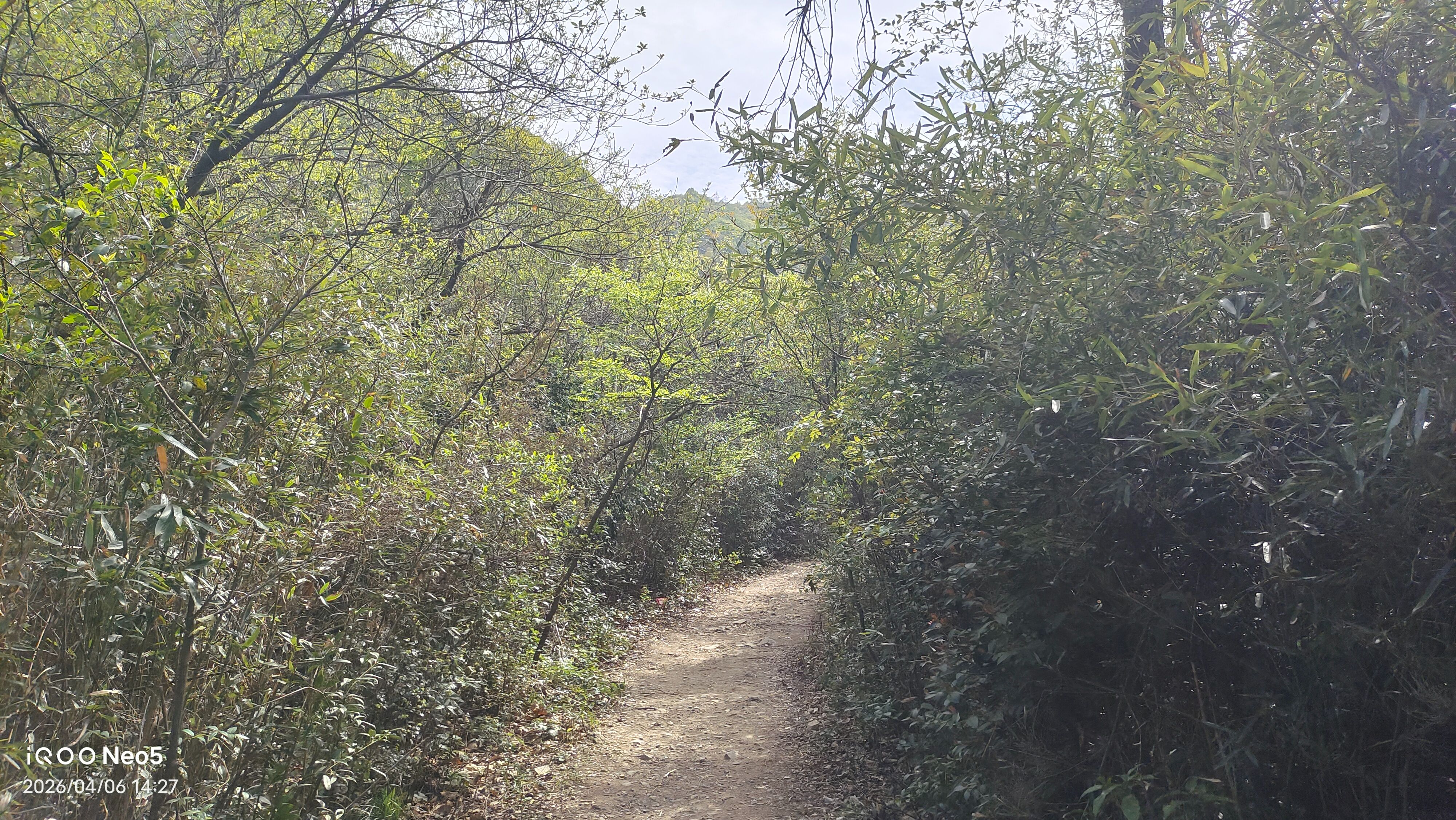 跑山,旅行,假期,生活,湖州