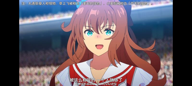 赛马娘,赛马娘PrettyDreby,动画,动漫,番剧,ACG