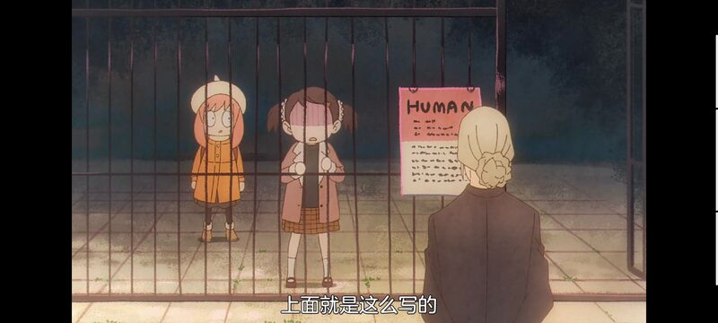 间谍过家家,SPYFAMILY,动画,动漫,番剧,ACG