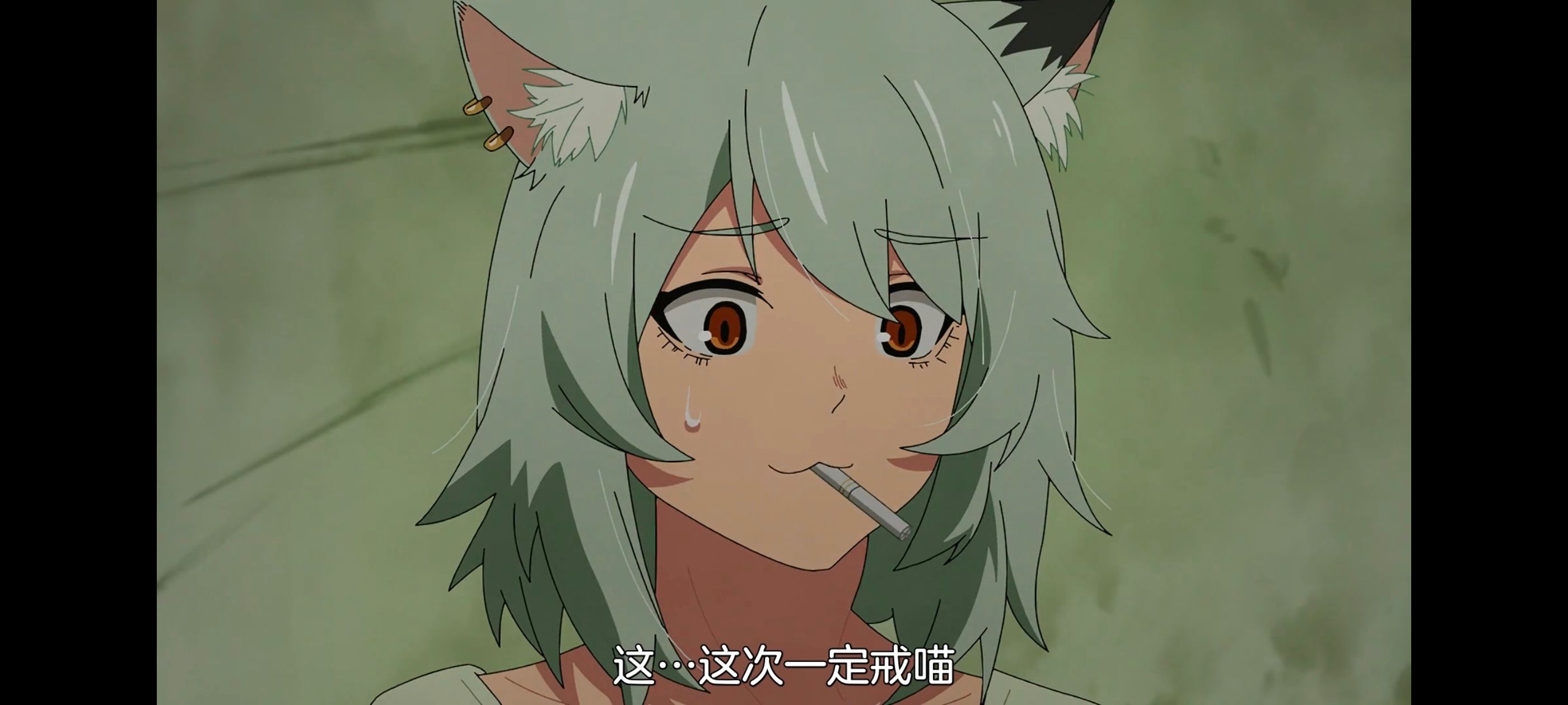 雅尼猫,尼古喵喵,动画,动漫,番剧,日漫,二次元,ACG