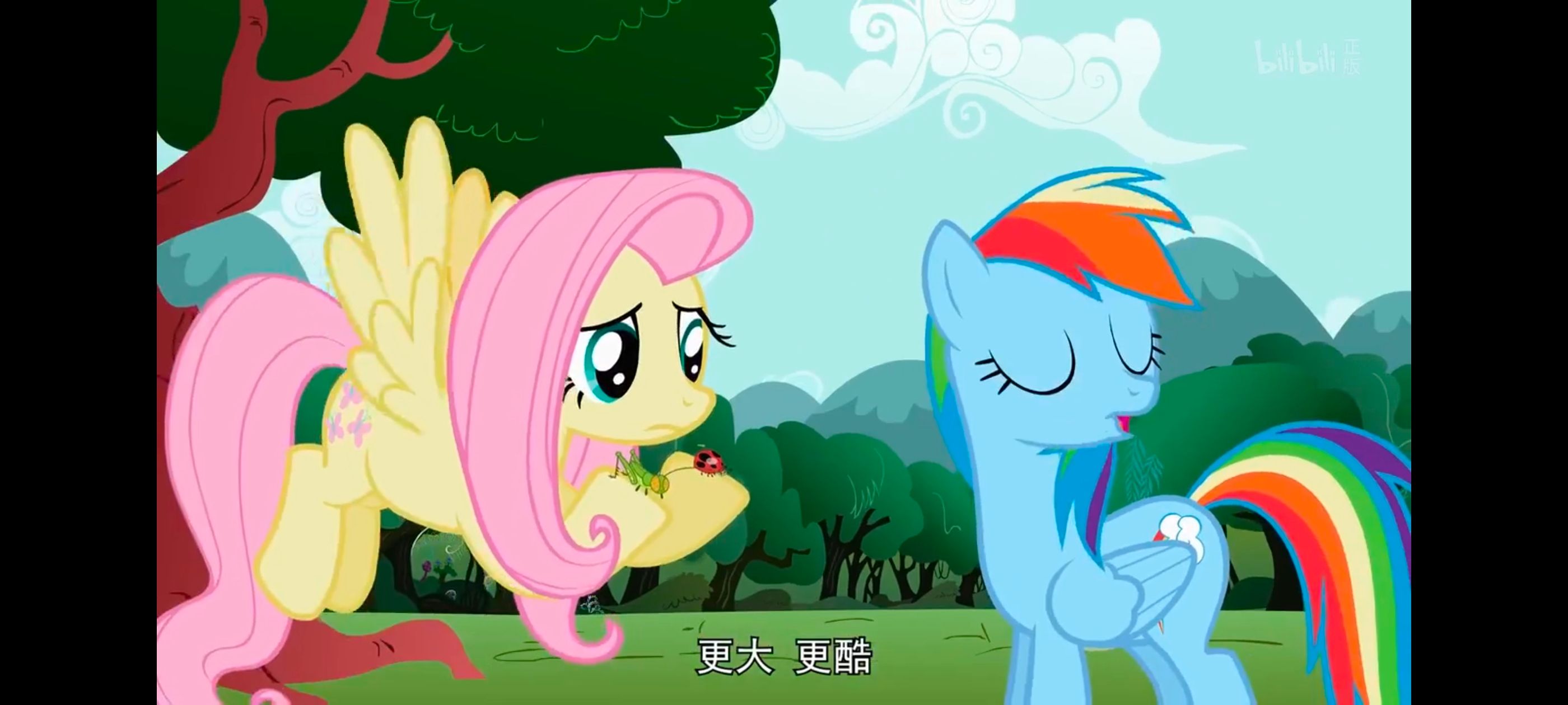 小马宝莉,彩虹小马,我的小马驹,动画,动漫,番剧,二次元,ACG