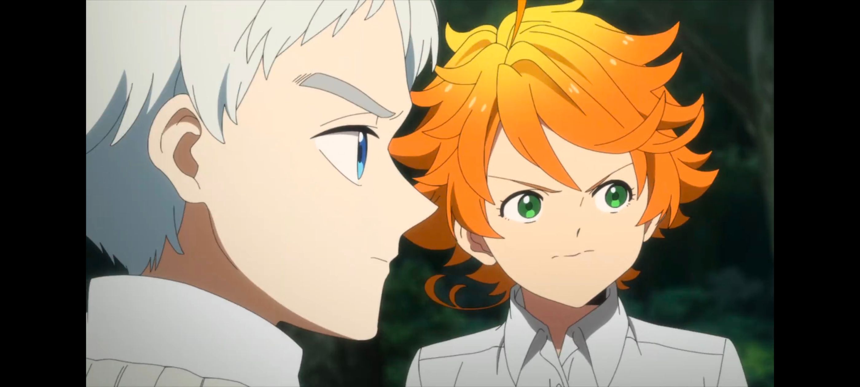 约定的梦幻岛,动画,动漫,番剧,二次元,ACG