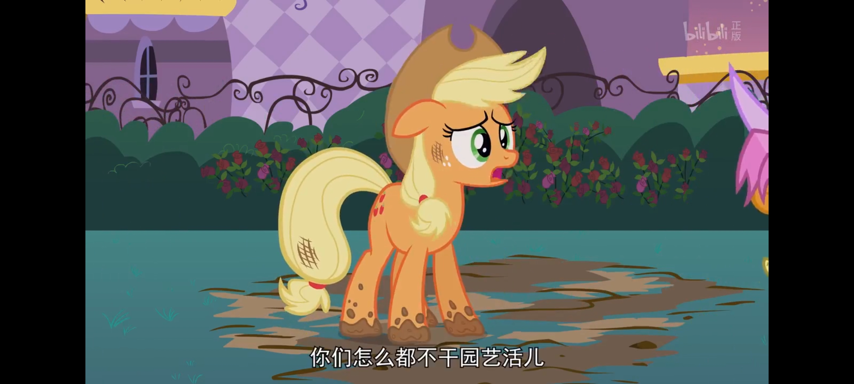 小马宝莉,彩虹小马,我的小马驹,动画,动漫,番剧,ACG