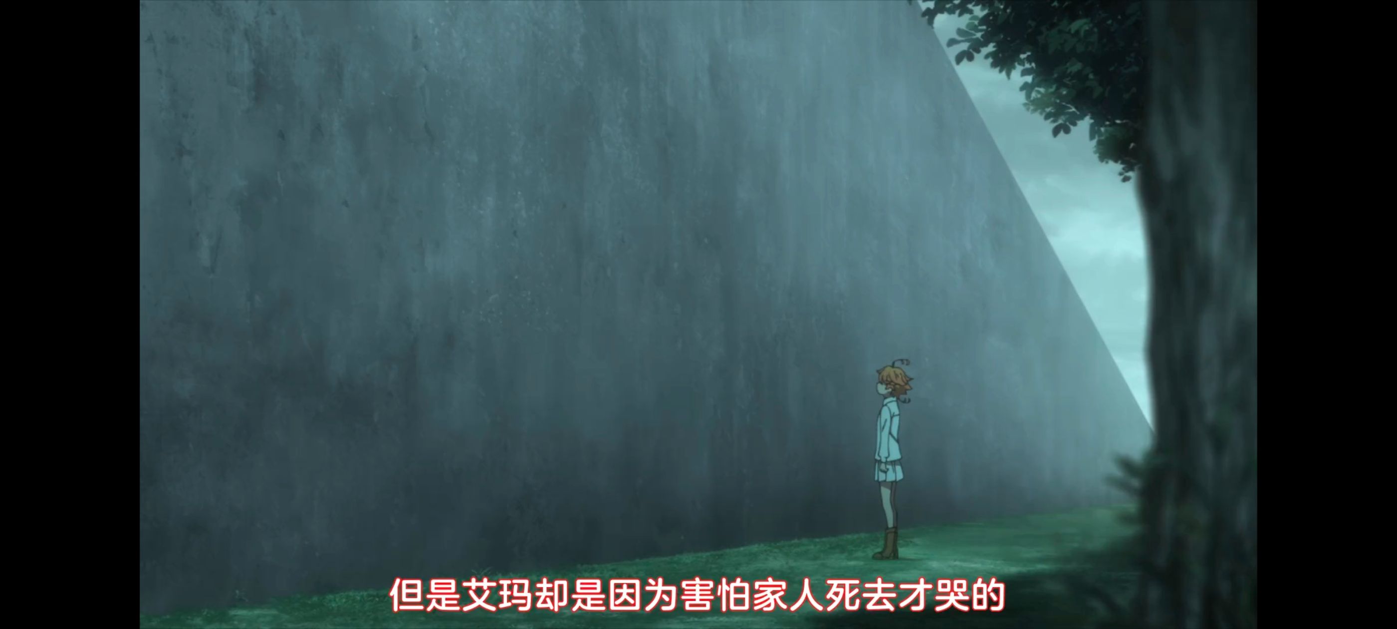 约定的梦幻岛,动画,动漫,番剧,ACG