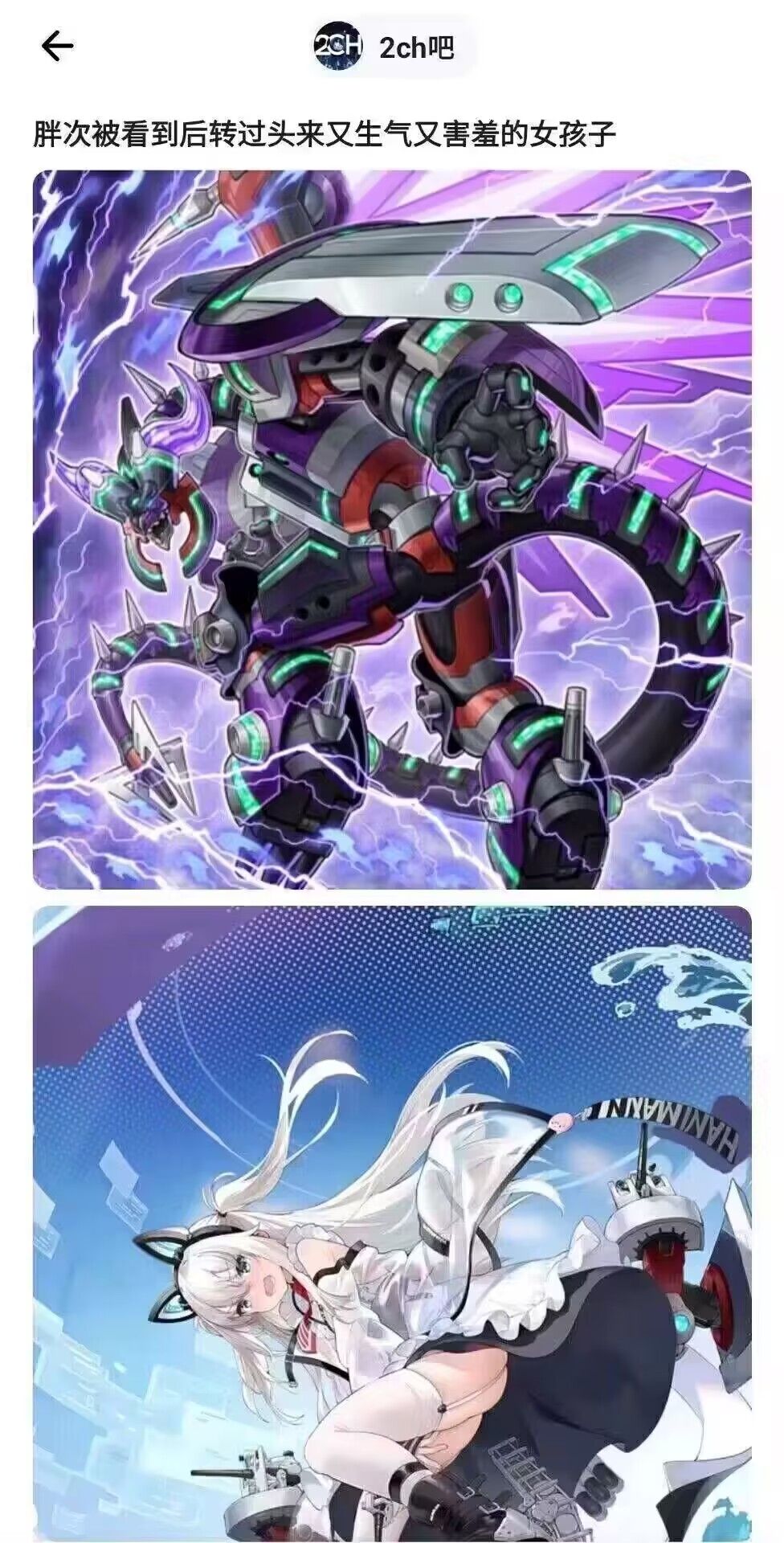 弔图,meme,涩图
