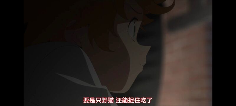 约定的梦幻岛,动画,动漫,番剧,ACG