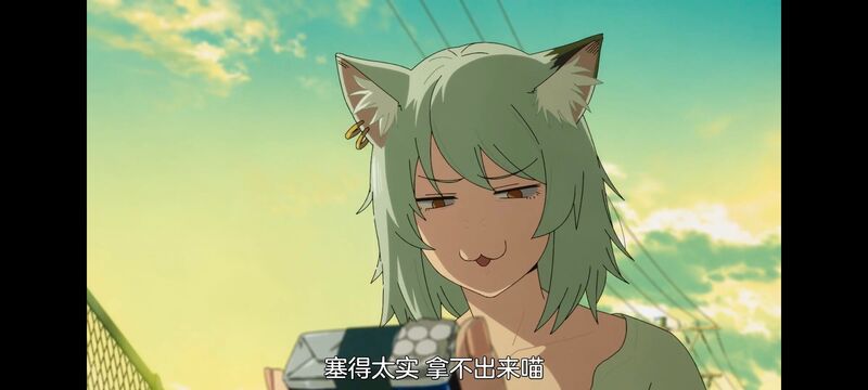 雅尼猫,尼古喵喵,动画,动漫,番剧,二次元,日漫,ACG
