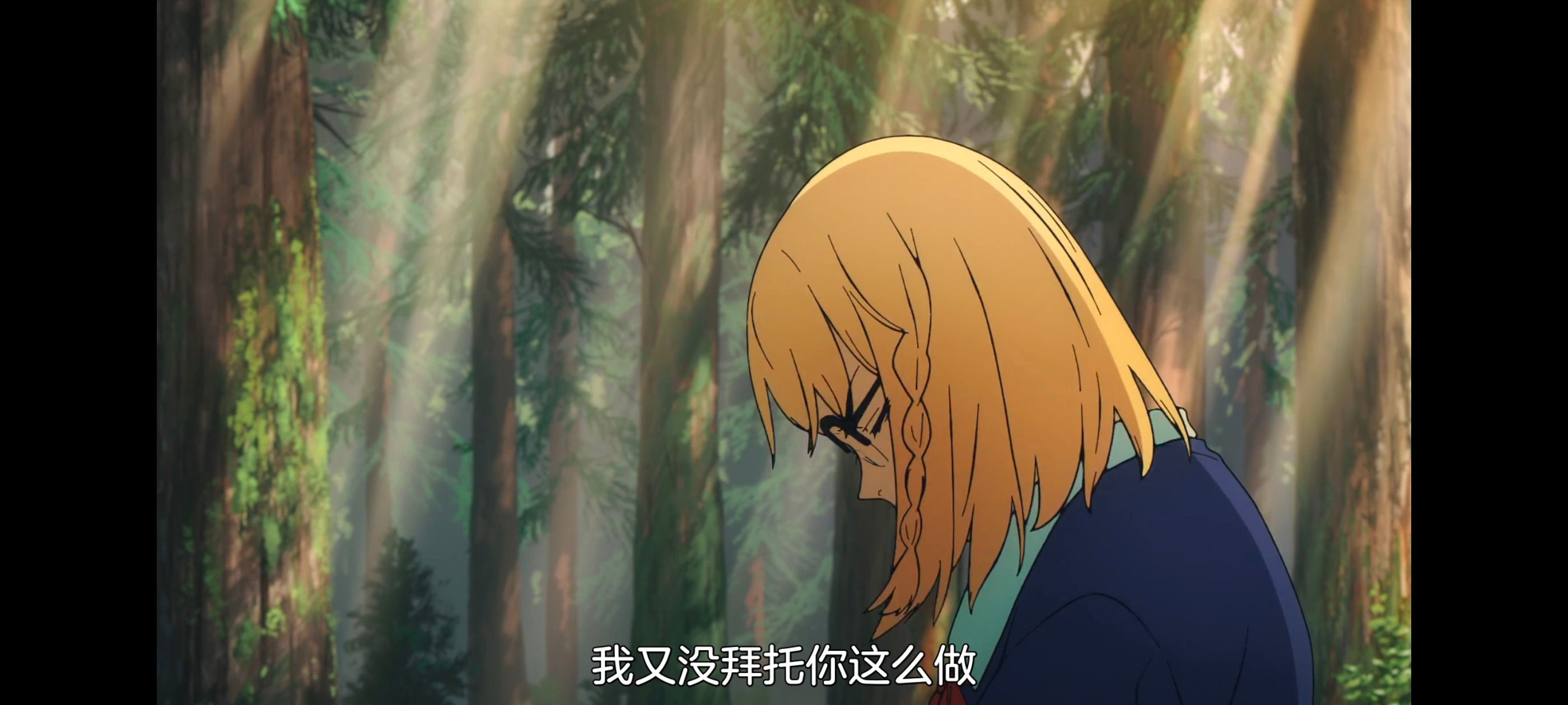 命运奇异赝品,FatestrangeFake,动画,动漫,番剧,ACG