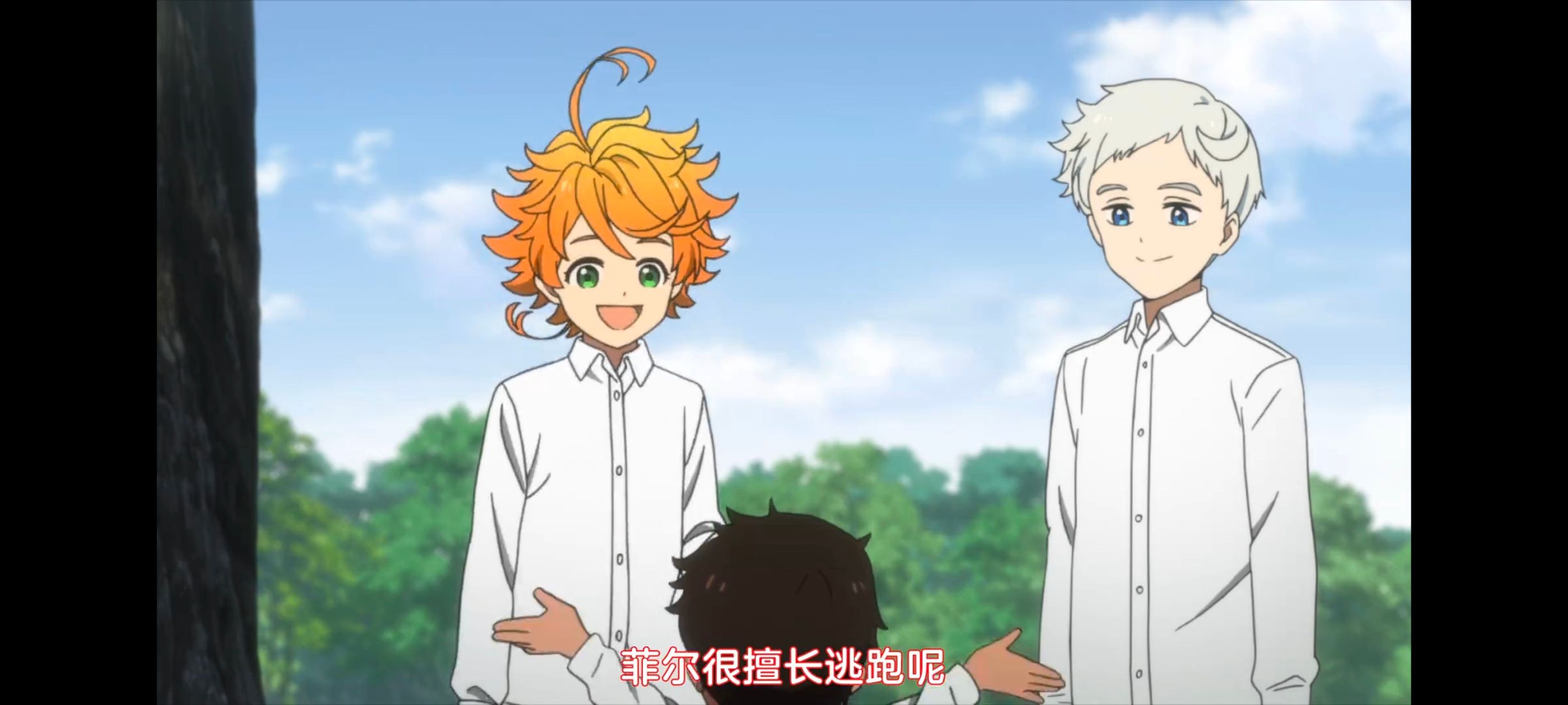 约定的梦幻岛,动画,动漫,番剧,ACG