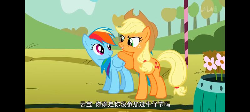 小马宝莉,小马宝莉友谊魔法,彩虹小马,我的小马驹,动画,动漫,番剧,ACG
