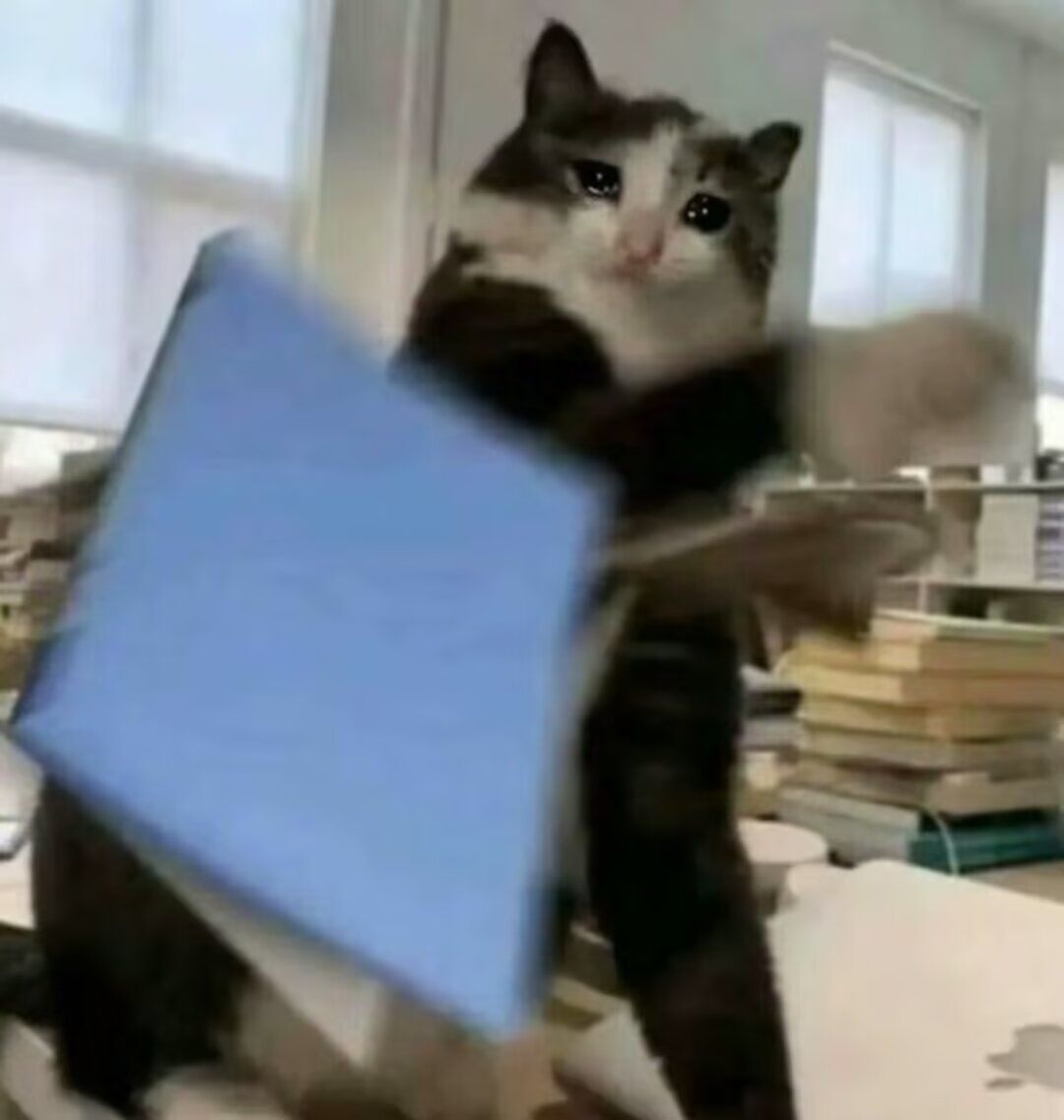 /static/9a452a2f4873e2e23f1e7580a9f79d83bbbfacc9e55dd930047ed7087ced1464.jpg