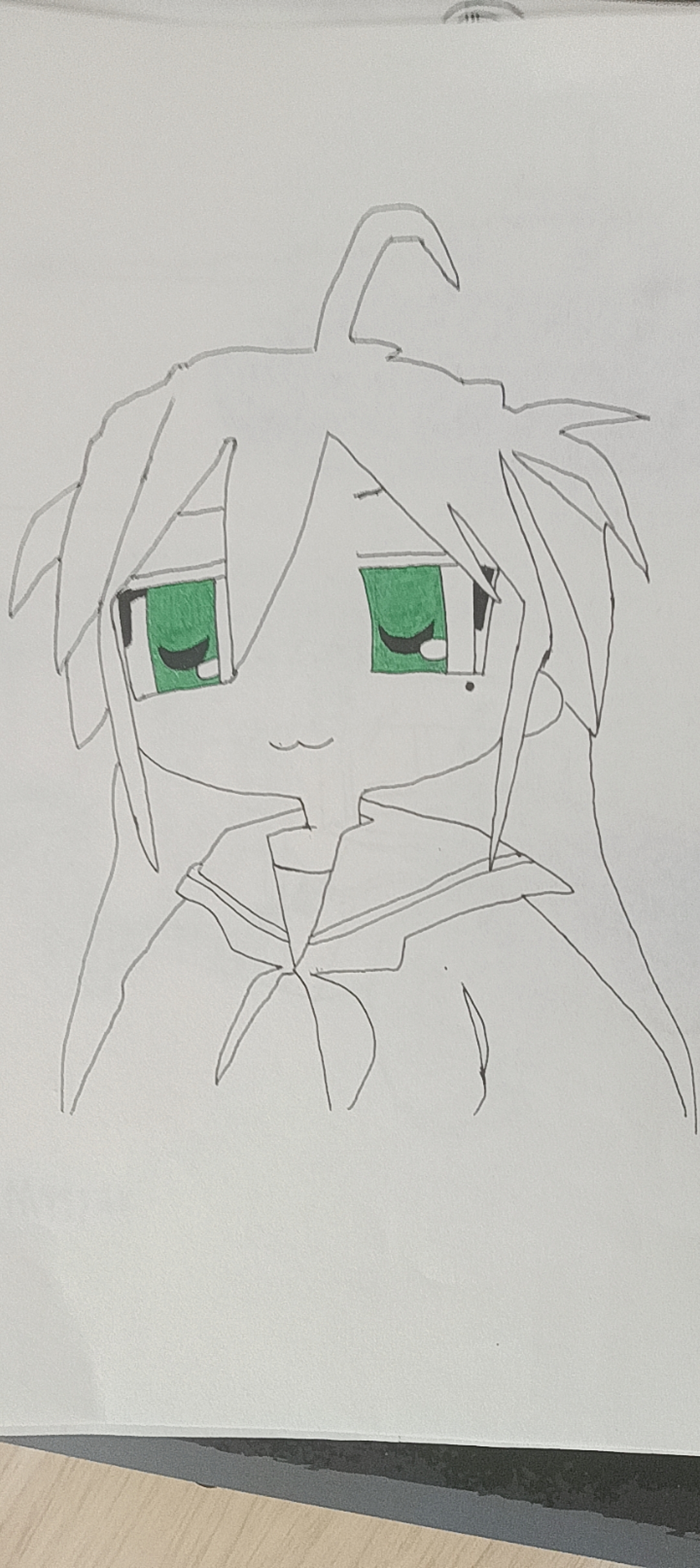 回来啦