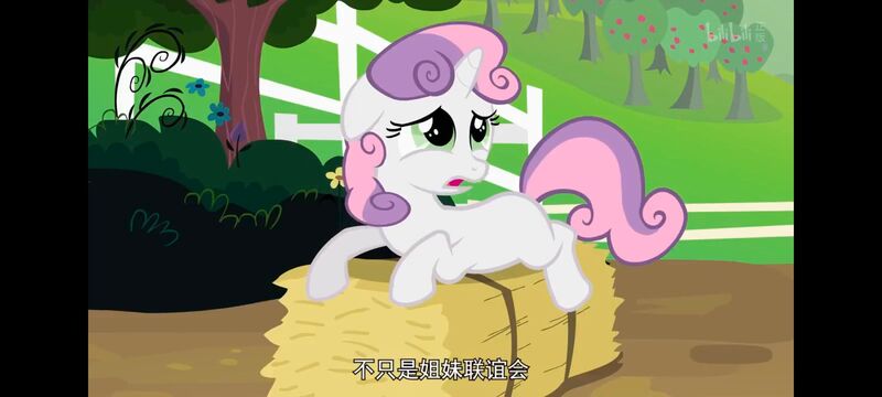 小马宝莉,小马宝莉友谊魔法,彩虹小马,我的小马驹,动画,动漫,番剧,ACG