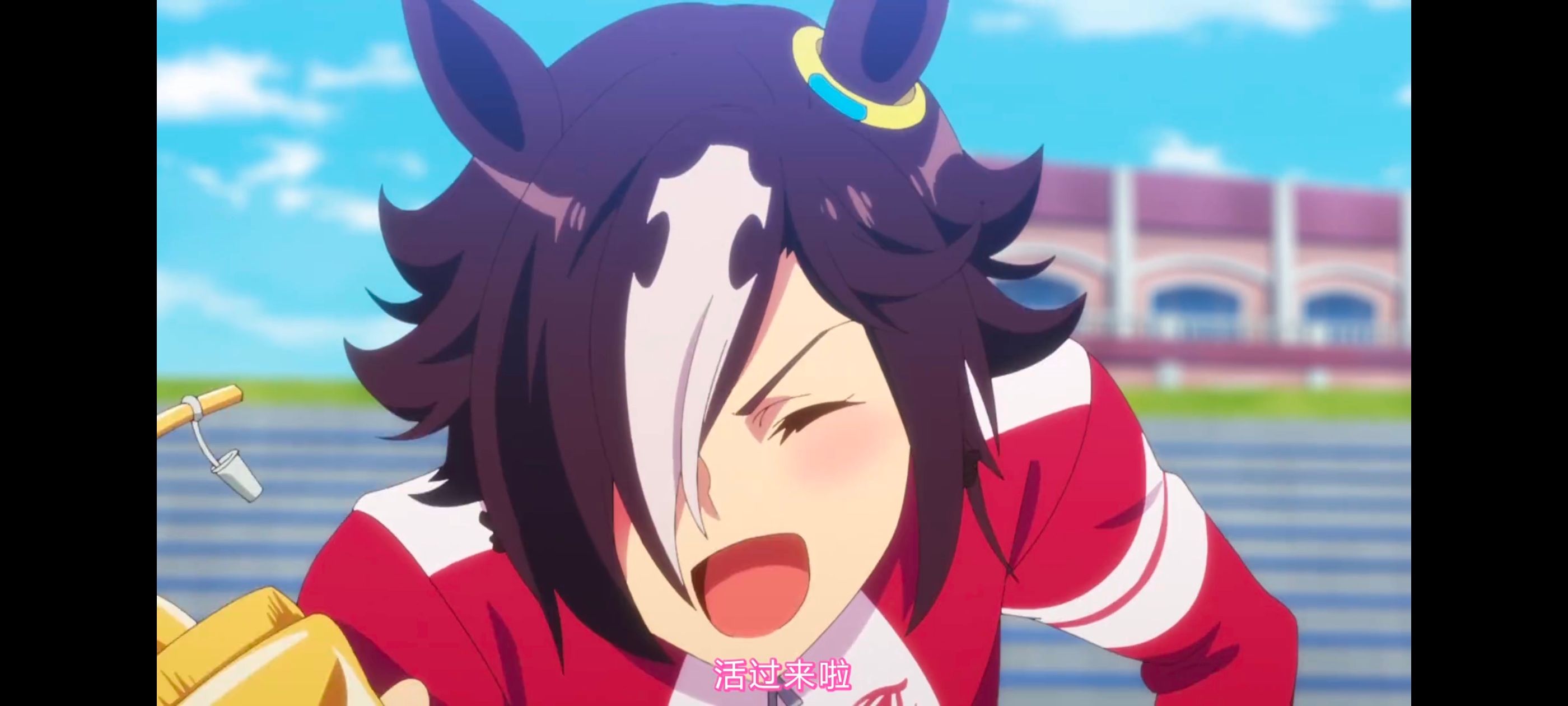 赛马娘,赛马娘PrettyDreby,动画,动漫,番剧,ACG