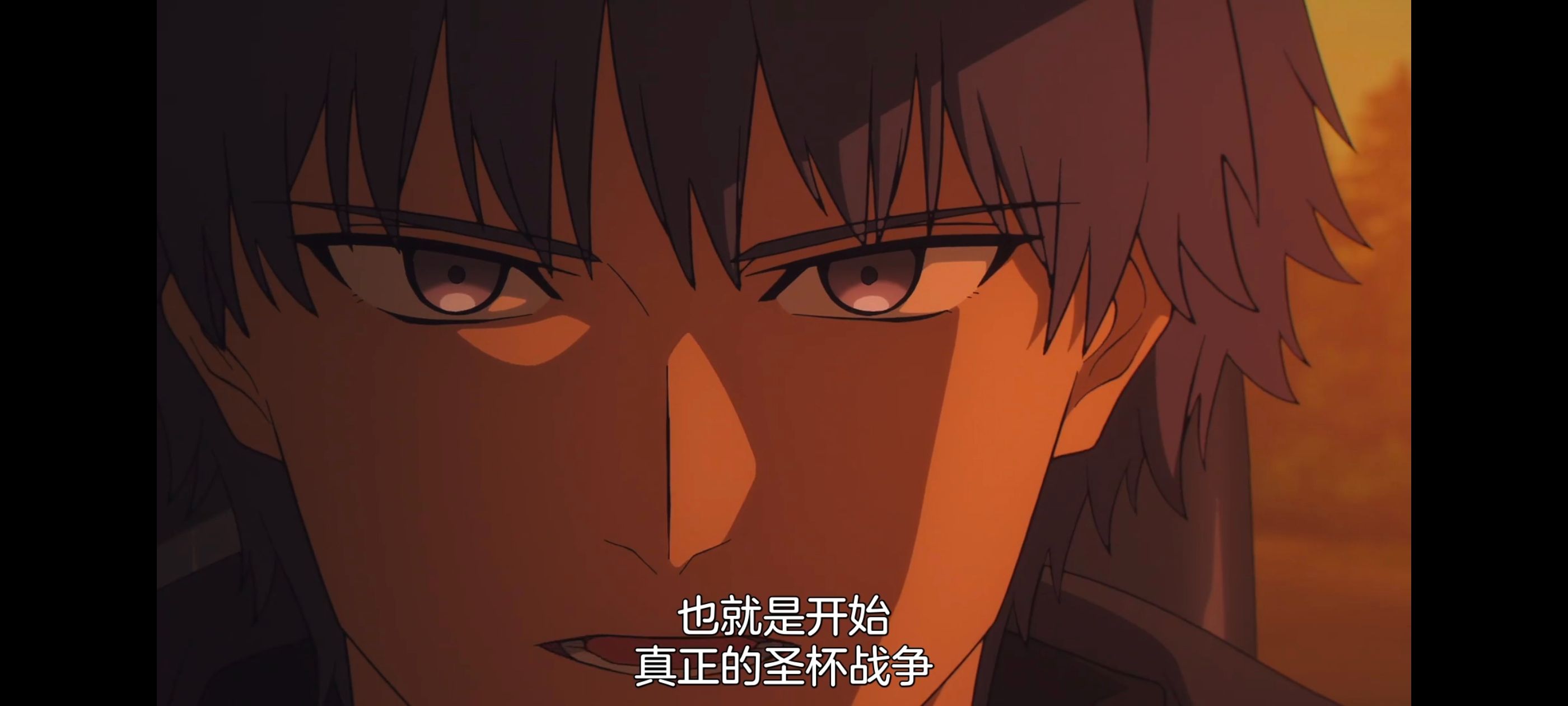 命运奇异赝品,FatestrangeFake,动画,动漫,番剧,ACG