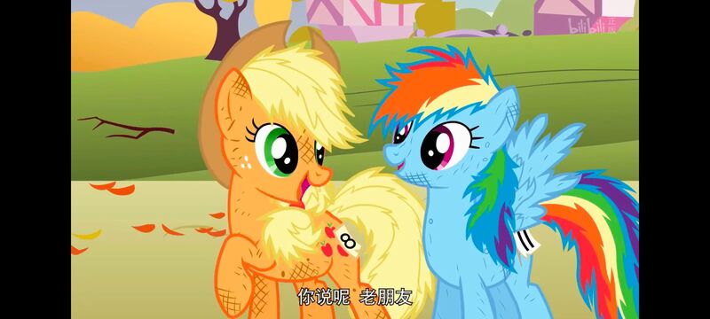 小马宝莉,小马宝莉友谊魔法,彩虹小马,我的小马驹,动画,动漫,番剧,ACG