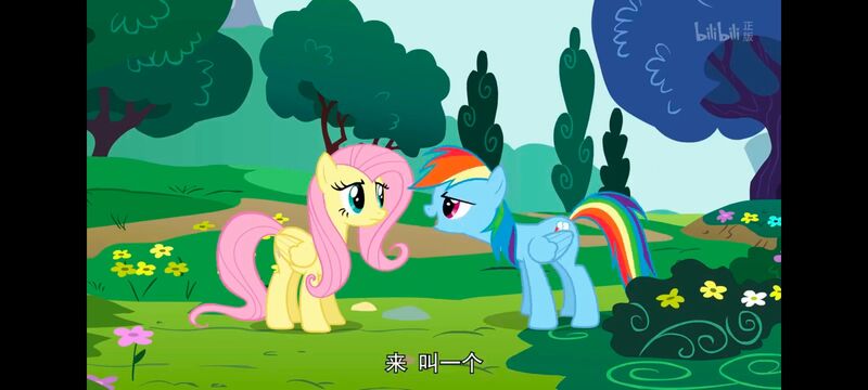 小马宝莉,小马宝莉友谊魔法,彩虹小马,我的小马驹,动画,动漫,番剧,ACG