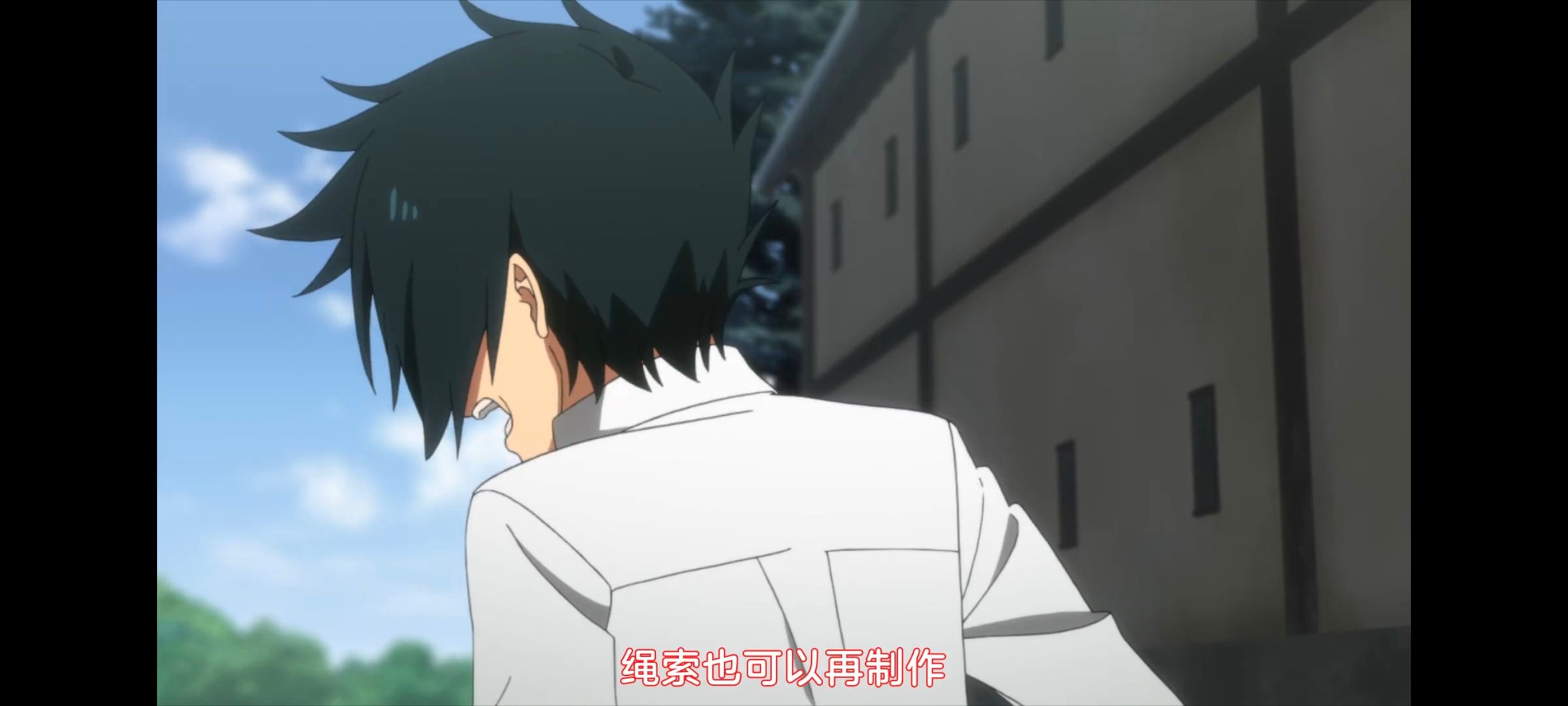 约定的梦幻岛,动画,动漫,番剧,二次元,ACG