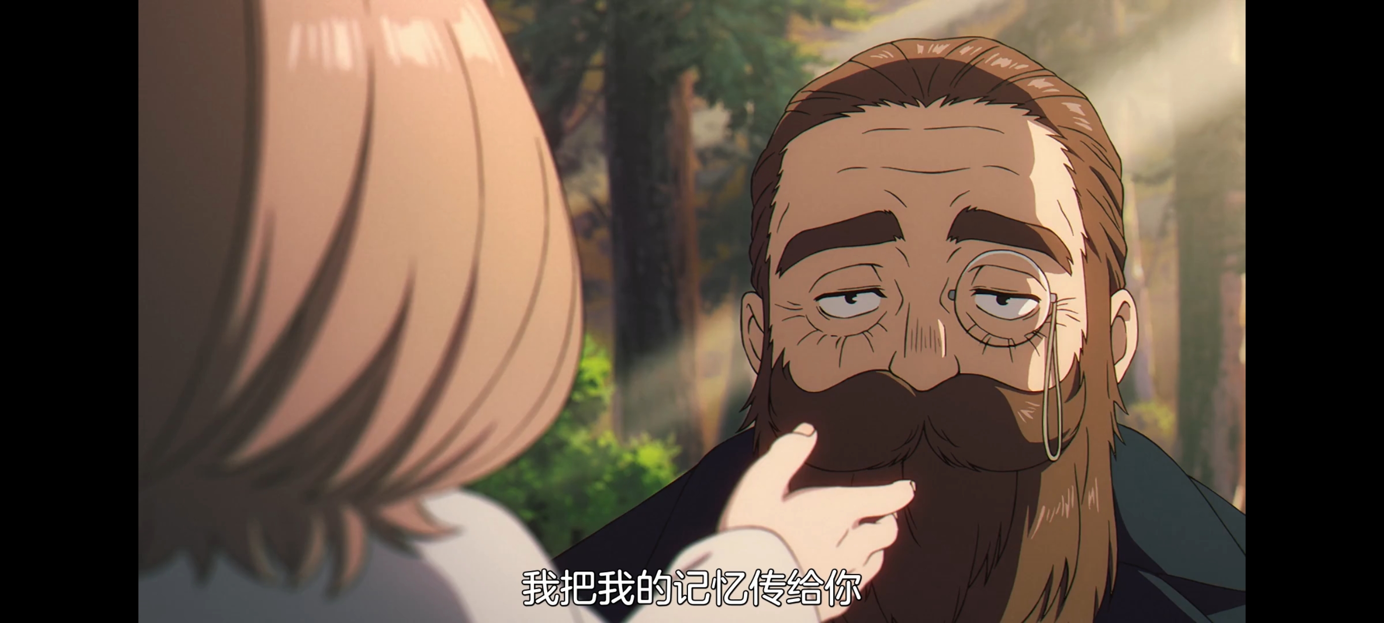 葬送的芙莉莲,动画,动漫,番剧,二次元,ACG