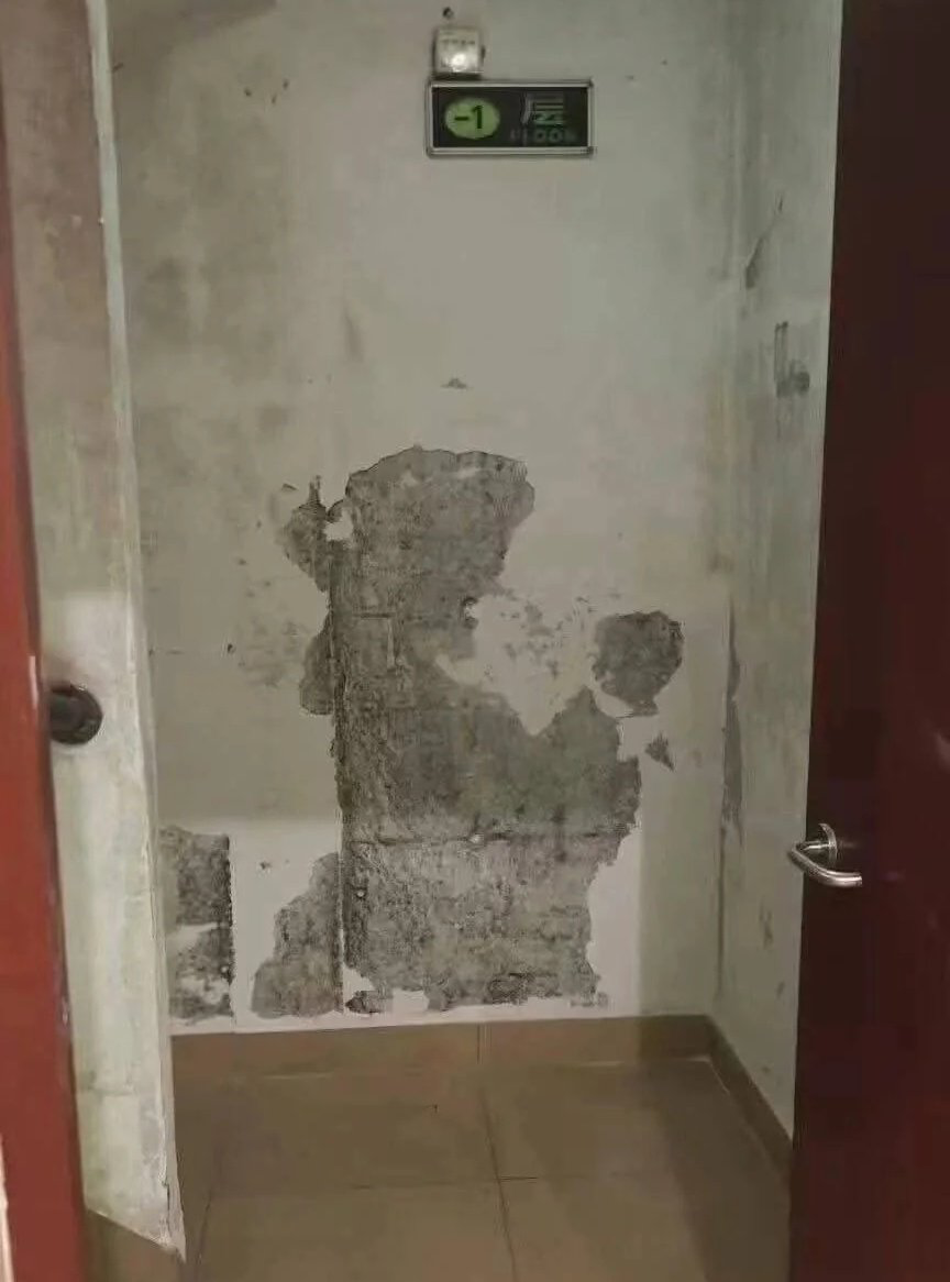 搬屎,倒垃圾,badapple,东方,东方project,烂苹果,博丽灵梦,墙