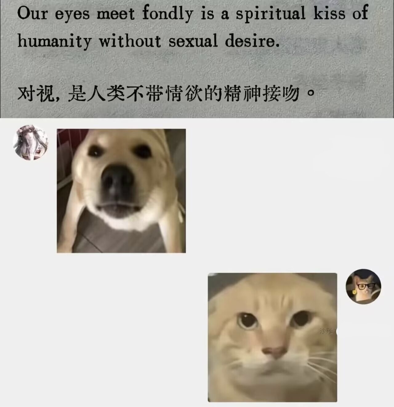 三角洲,母鸡卡,战锤,搞笑,梗图,Fate,天津