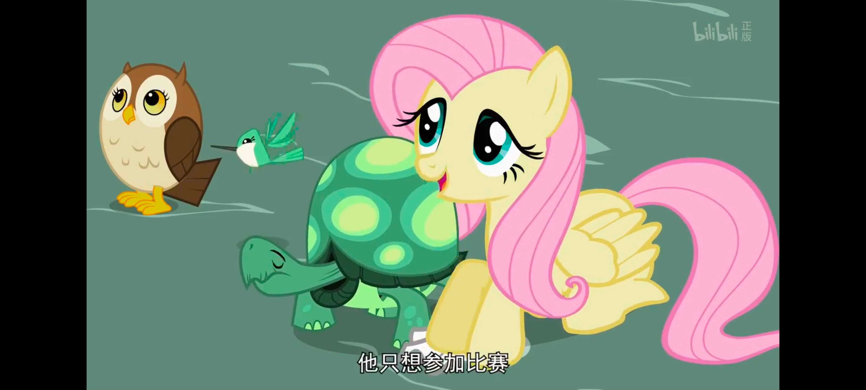 小马宝莉,彩虹小马,我的小马驹,动画,动漫,番剧,二次元,ACG