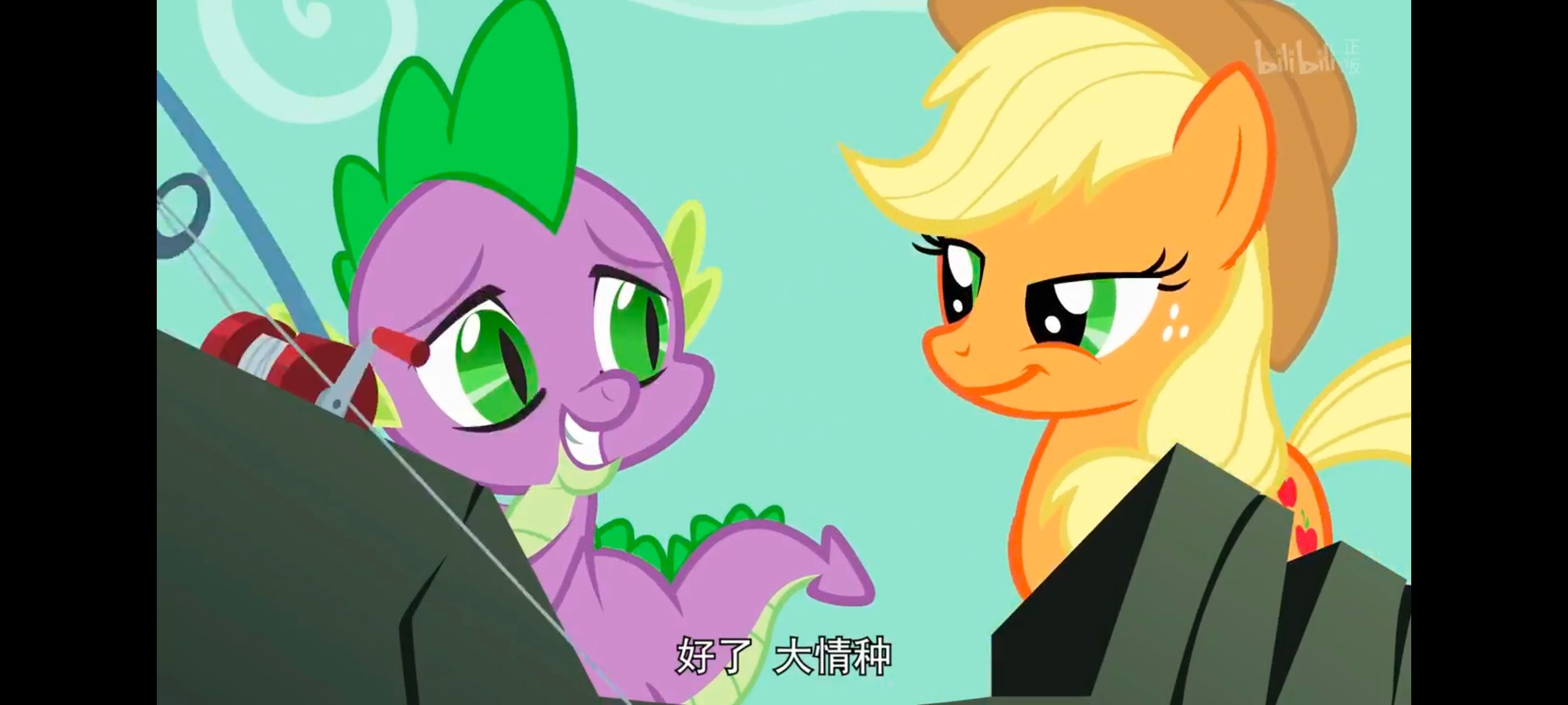 彩虹小马,小马宝莉,我的小马驹,小马宝莉友谊魔法,动画,动漫,番剧,ACG