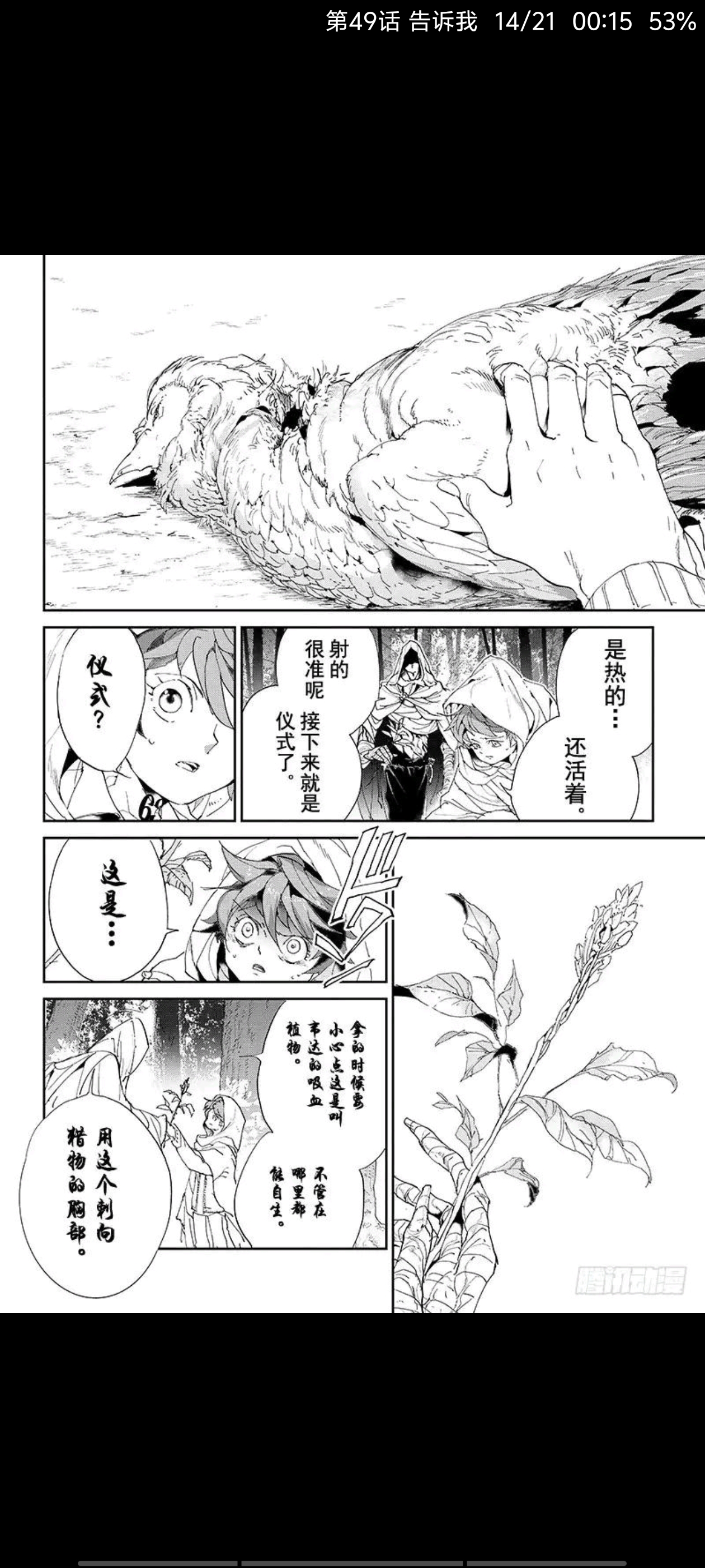 约定的梦幻岛,漫画,动漫,ACG