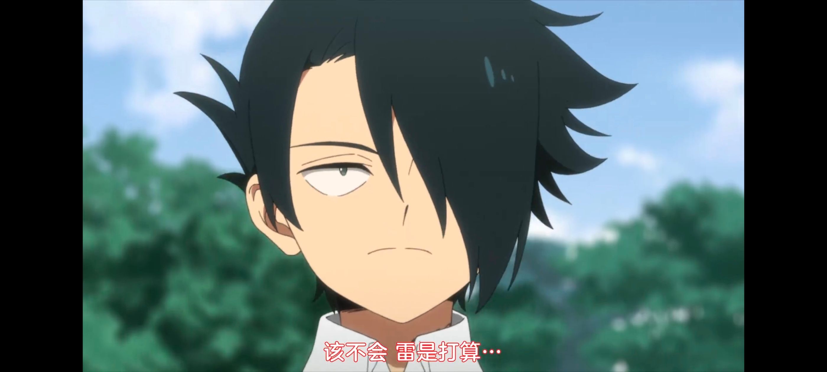 约定的梦幻岛,动画,动漫,番剧,ACG