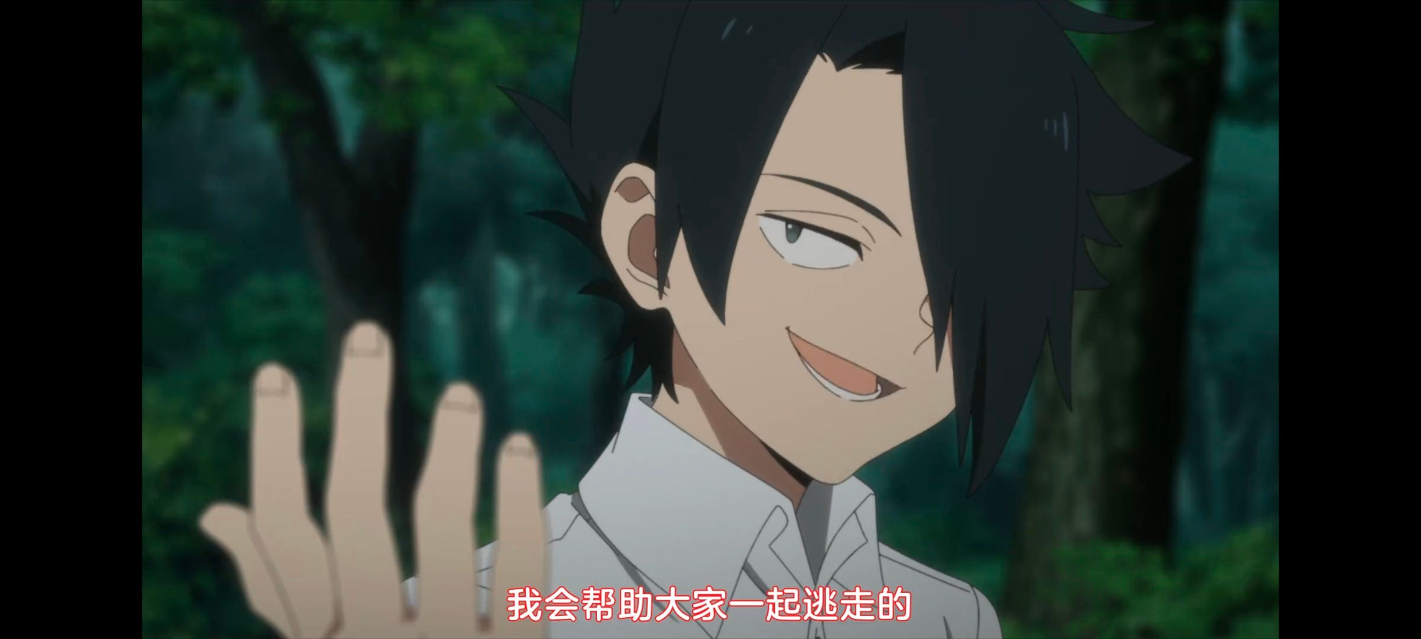 约定的梦幻岛,动画,动漫,番剧,ACG