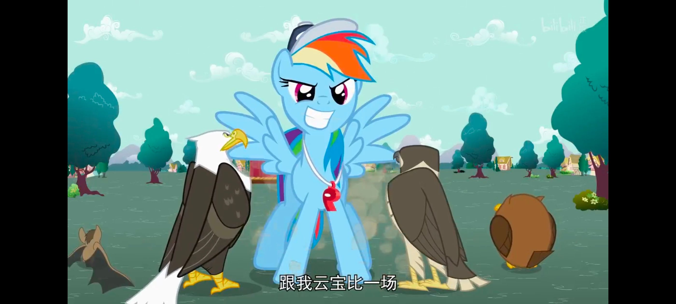 小马宝莉,彩虹小马,我的小马驹,动画,动漫,番剧,二次元,ACG