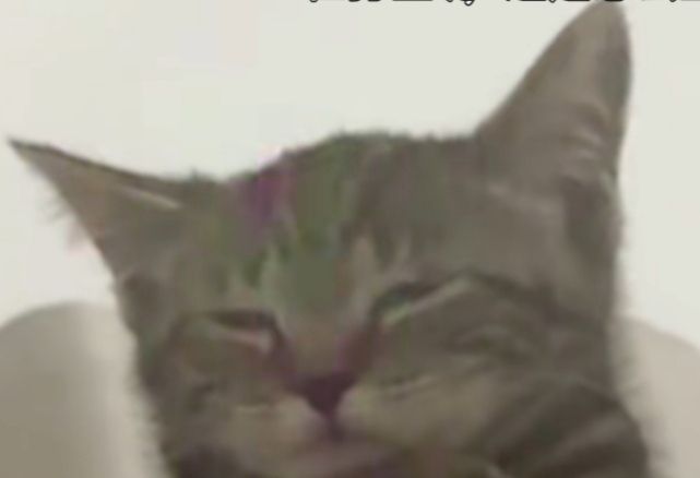 /static/9cacd8f6dd1468c1a42f49e7125652534dfcbccd519e748f98311275a43e40c9.jpg