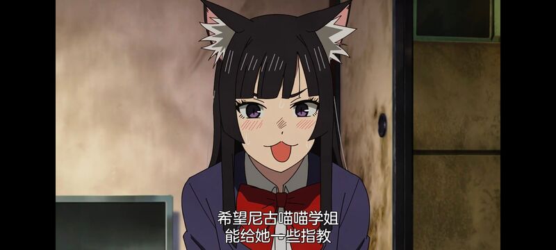 尼古喵喵,雅尼猫,动画,动漫,番剧,二次元,日漫,ACG