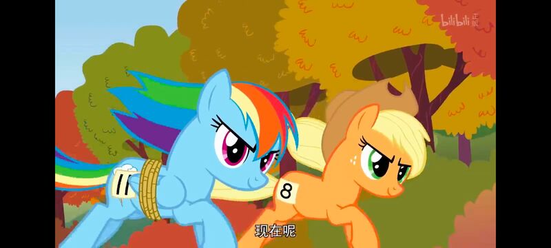小马宝莉,小马宝莉友谊魔法,彩虹小马,我的小马驹,动画,动漫,番剧,ACG