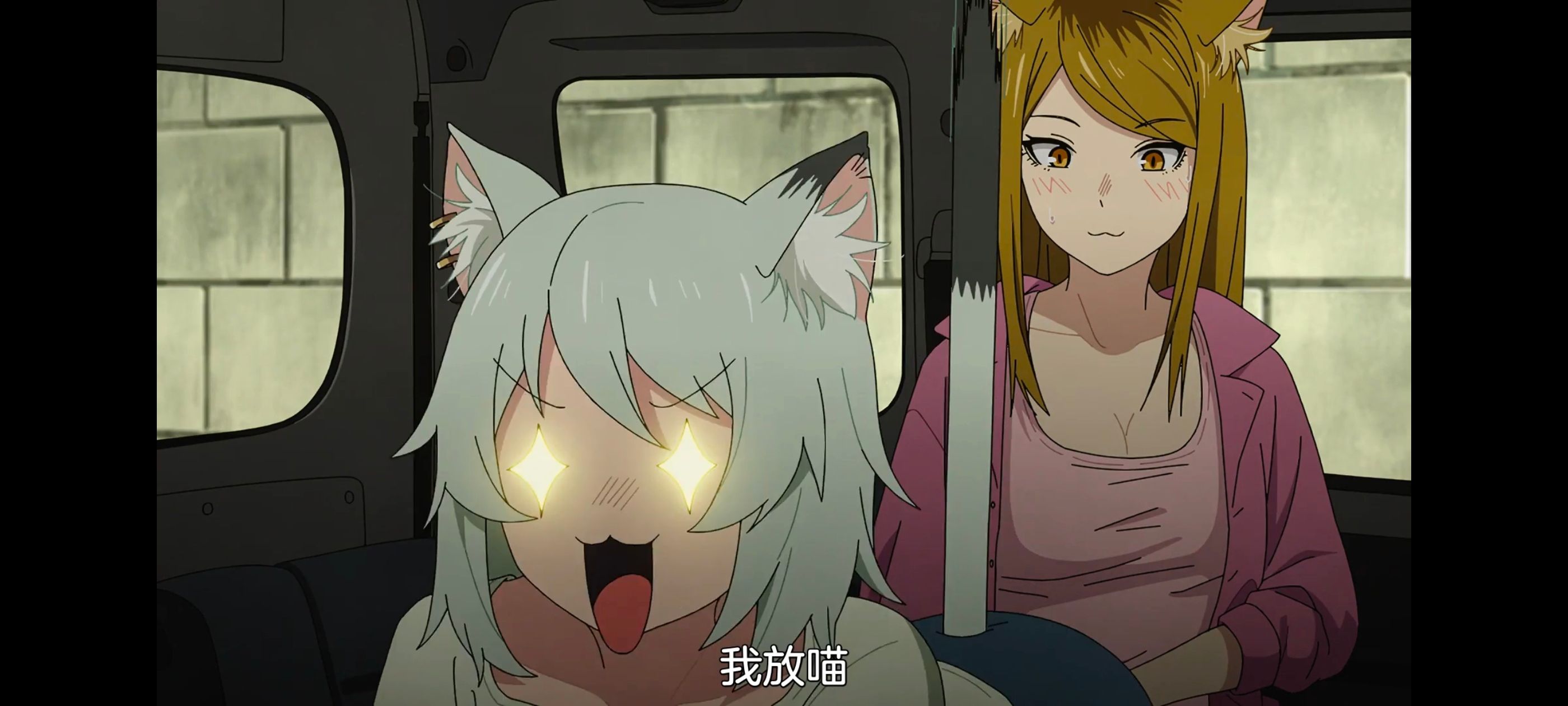 雅尼猫,尼古喵喵,动画,动漫,番剧,日漫,二次元,ACG