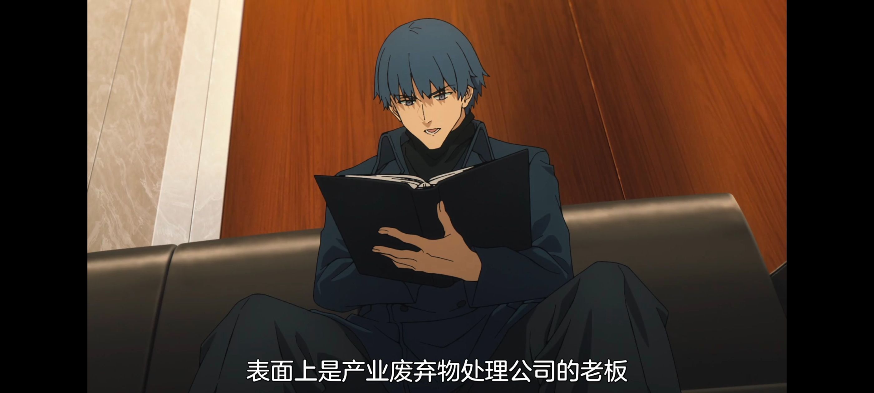 命运奇异赝品,FatestrangeFake,动画,动漫,番剧,ACG