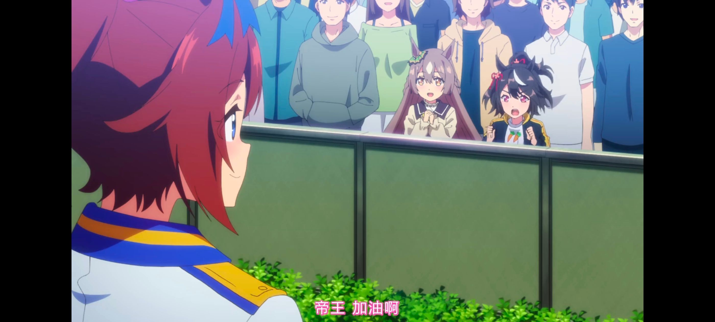 赛马娘,赛马娘PrettyDreby,赛马娘第二季,动画,动漫,番剧,ACG